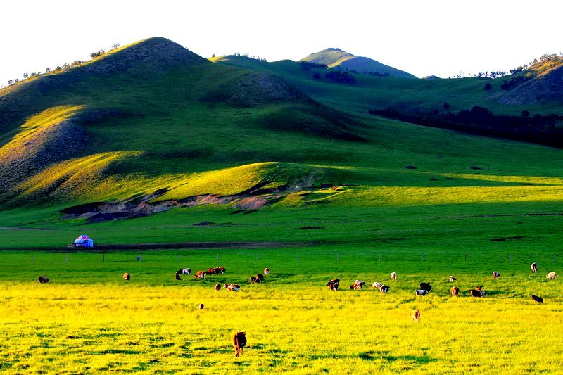 ����ë����ԭ